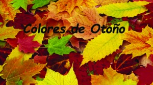 colores de otoño
